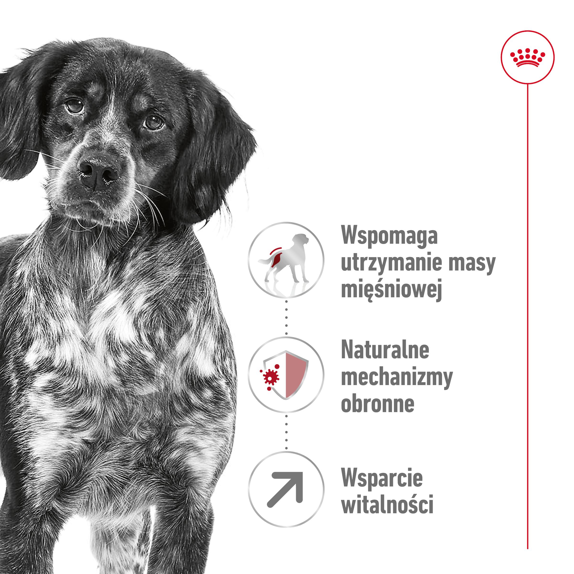 ROYAL CANIN® Medium Adult 7+ karma sucha dla psów 15 kg - Image 2