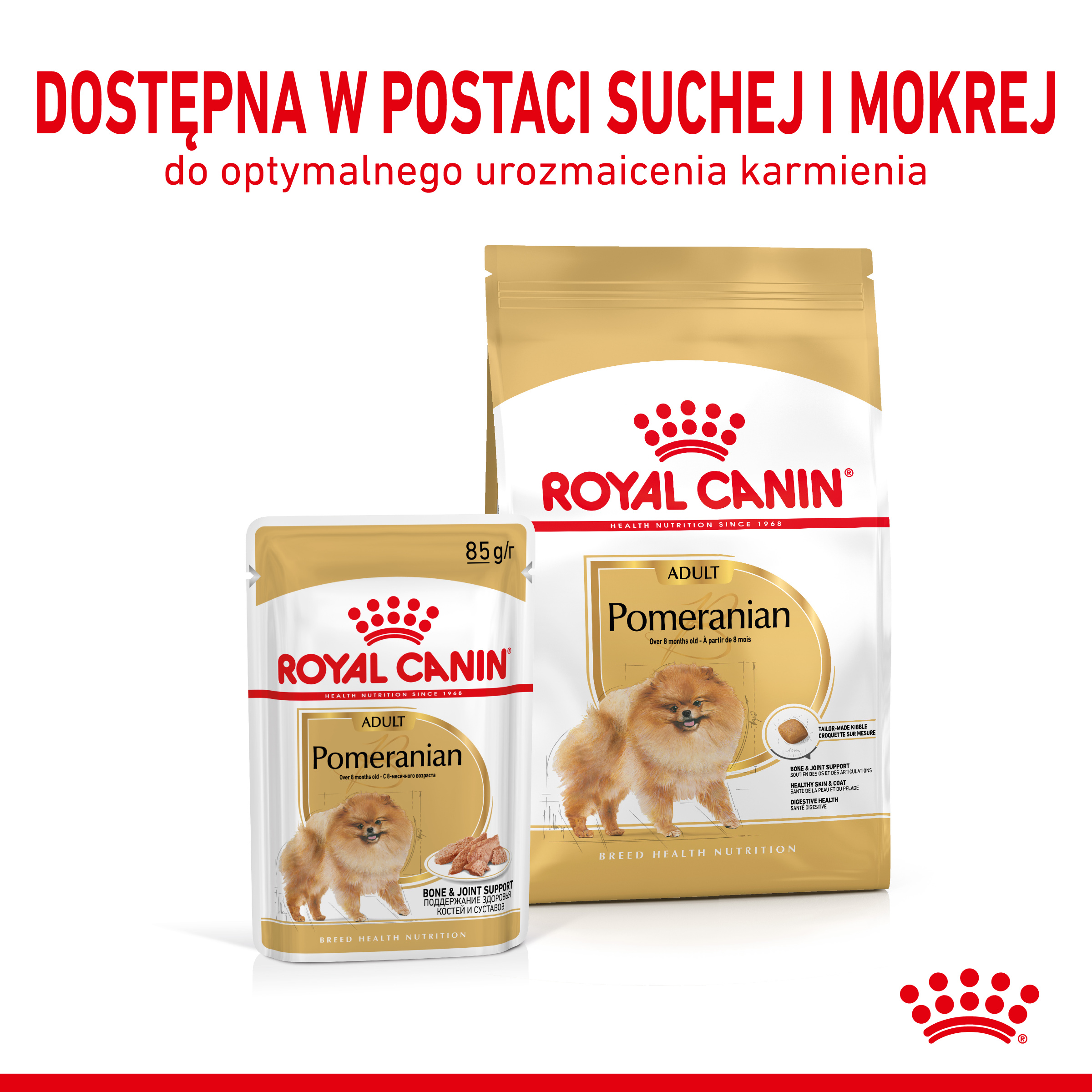 ROYAL CANIN® Pomeranian Adult karma sucha - Image 6